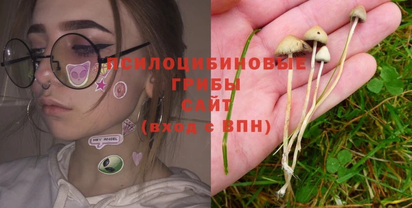 соль курить ск Рославль