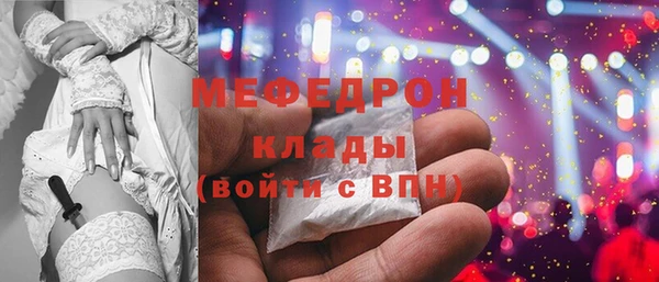шишки Новодвинск